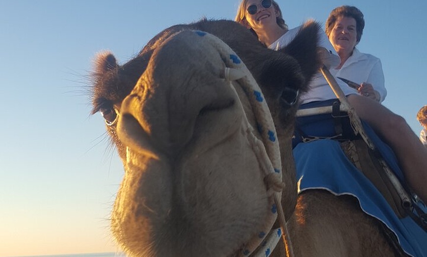 Image 3: Broome Pre-sunset Camel Tour 30 minutes