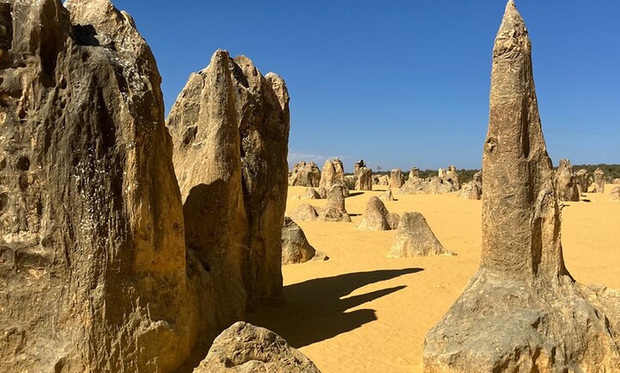 Image 8: Turquoise Coast and Pinnacles Desert Private day Tour from Perth