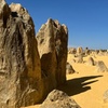 Image 8: Turquoise Coast and Pinnacles Desert Private day Tour from Perth