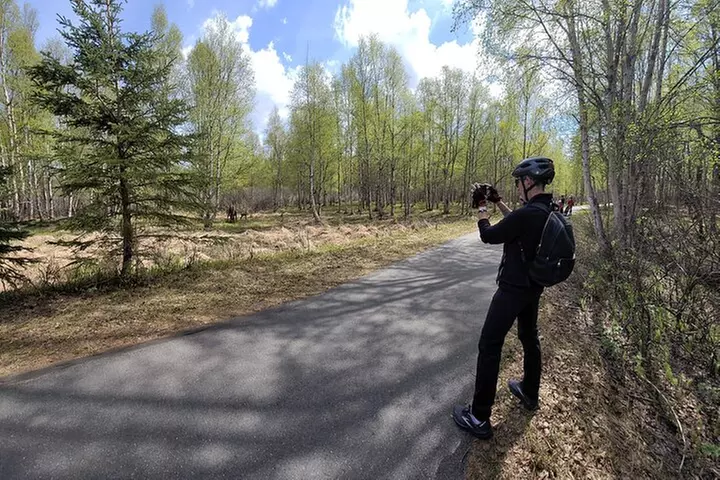 Viator Exclusive: Go eBike Alaska on Tony Knowles Trail