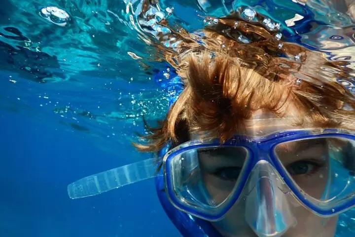 Bayside Market Place Snorkeling for Beginners