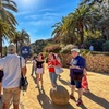 Image 4: Tour por la tarde del Park Güell