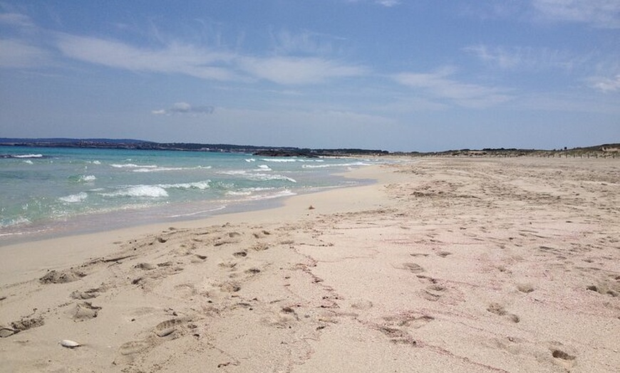 Image 9: Excursión a Formentera desde Ibiza con Transfer y Playas