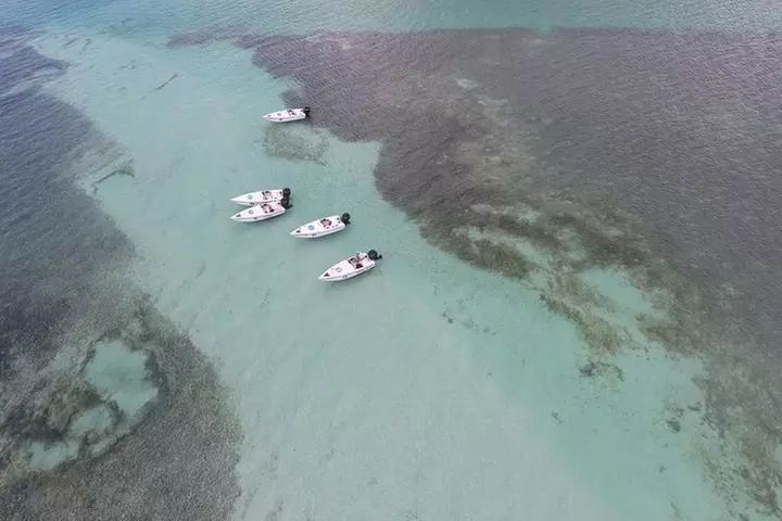 Key West Safari Eco Sandbar Tour Adventure with Snorkeling