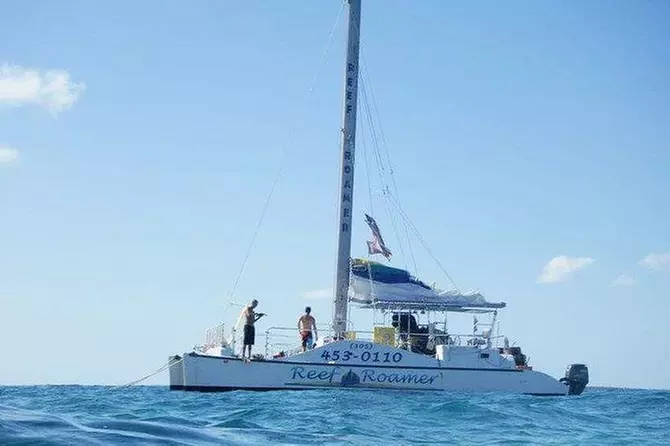Snorkel Trip - Primary Image