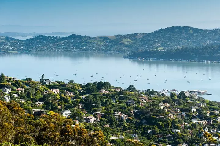 Muir Woods and Sausalito Half Day Tour