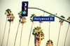 Ghosts of Hollywood Night-Time Walking Tour