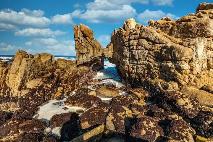 17-Mile Drive Self-Guided Audio Tour from Monterey & Carmel