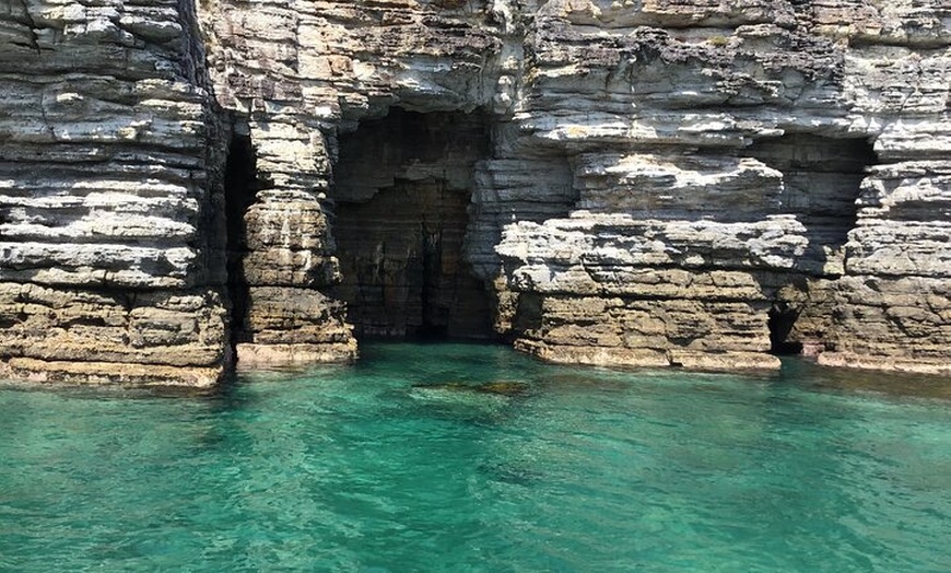 Image 12: Jervis Bay Passage Tour