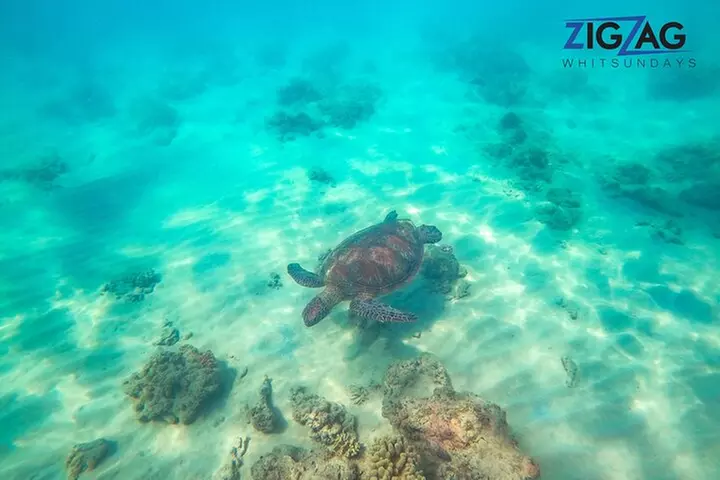 Whitehaven Beach Tour: 2 Options - All Day Beach Or Snorkel