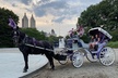 OFFICIAL NYC Central Park Horse Carriage Rides - Second Medium