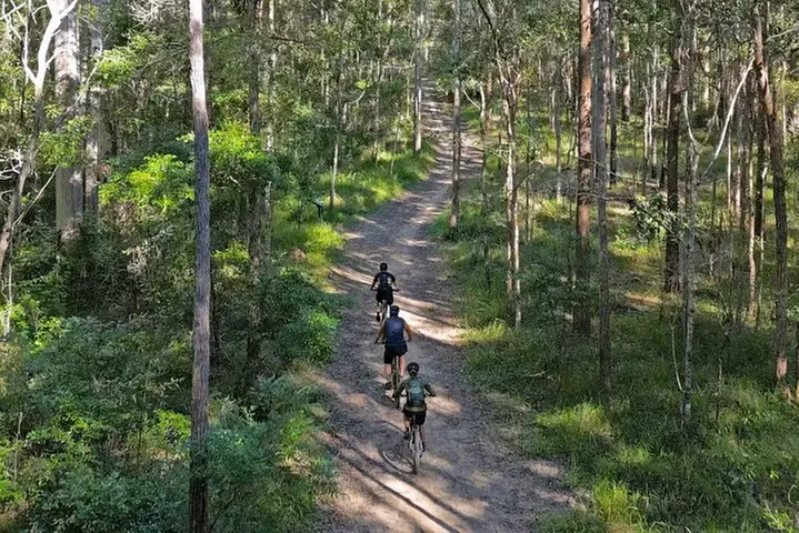 Scenic eBike of the Noosa Biosphere Trail Network