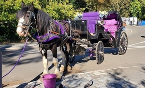 Official Private New York City Central Park Horse Carriage Ride Sin...