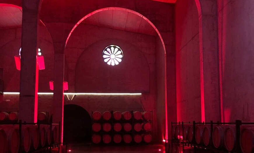 Image 27: Tour Ribera del Duero : Tres Bodegas y Almuerzo desde Madrid