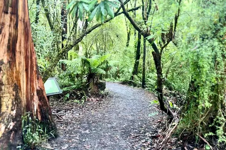 Small Group Great Ocean Road Full Day Tour Lunch Included
