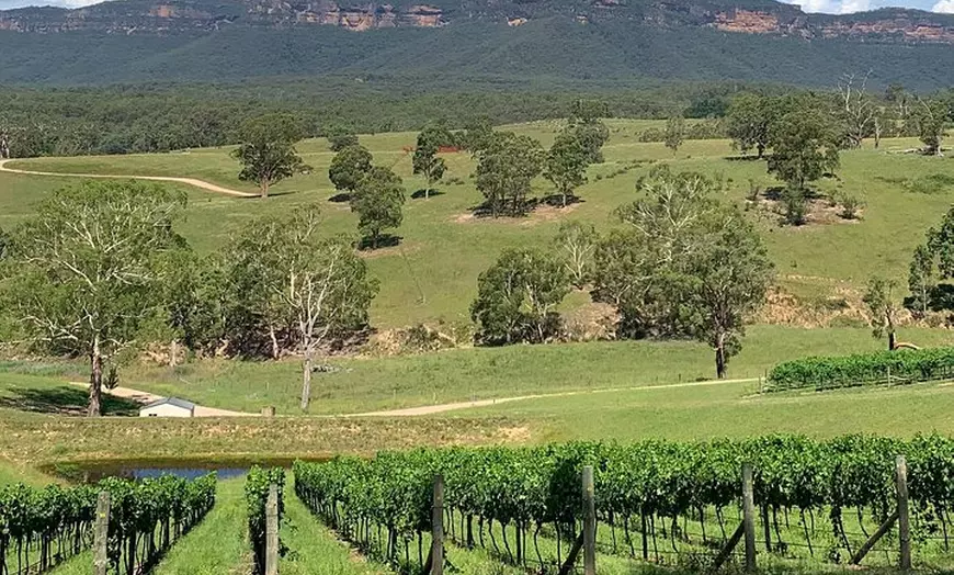 Image 15: Luxury Blue Mountains tour with Aussie BBQ lunch and wine tasting