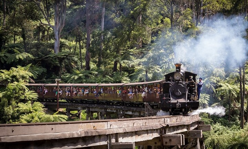 Image 2: 1 day Puffing Billy Steam Train and Wildlife Tour from Melbourne