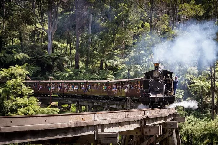 1 day Puffing Billy Steam Train and Wildlife Tour from Melbourne