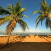 Image 2: ✈ SRI LANKA | Waikkal - Club Hotel Dolphin 4* - All inclusive