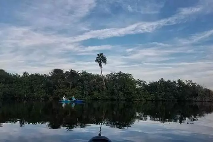 Thousand Island Mangrove Tunnel, Manatee & Dolphin Kayak Tour w/Coc...