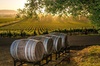 Fredericksburg Wine Tour with Three Winery Stops Plus Lunch