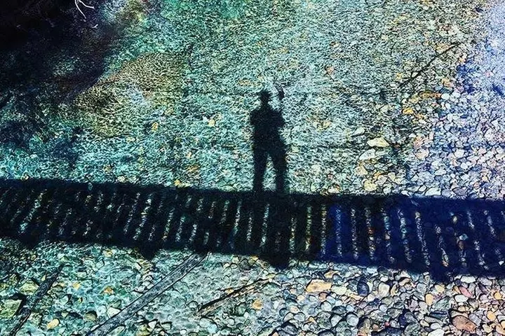 Best of Mount Rainier National Park from Seattle: All-Inclusive Sma...