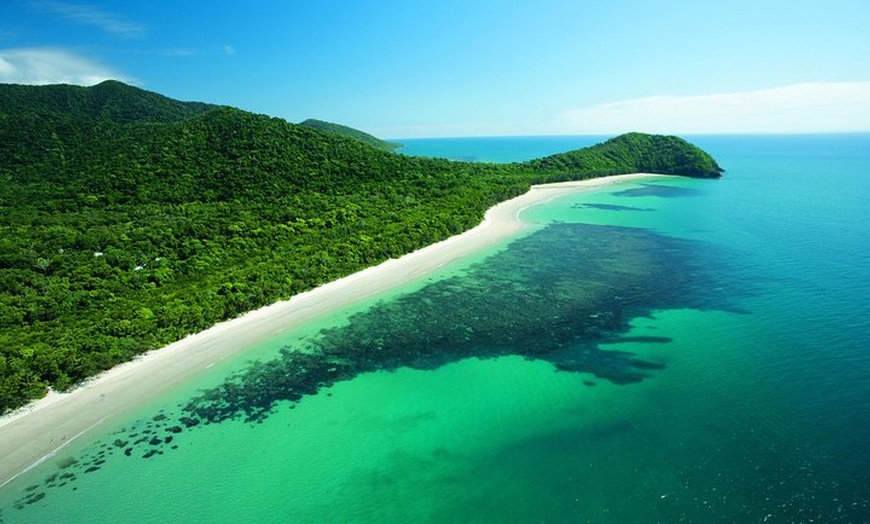 Image 2: Cape Tribulation, Mossman Gorge, and Daintree Rainforest Day Trip