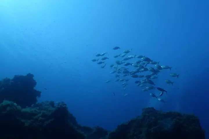 Baptême de Plongée Privé dans le Golf de Calvi