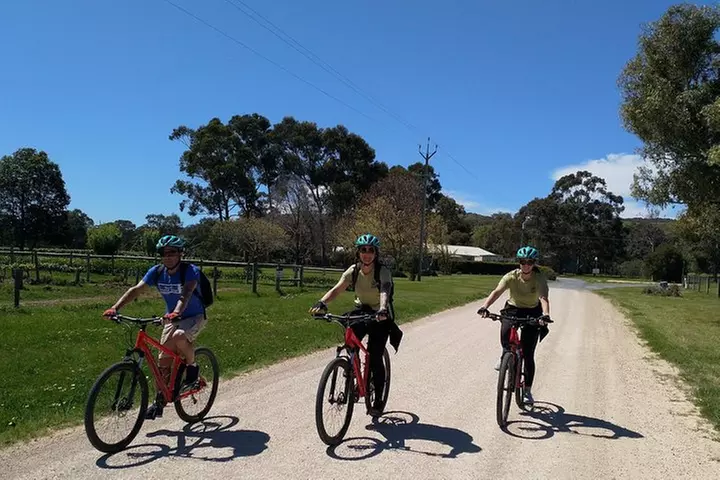 McLaren Vale Wine Tour by E-Bike (Private & Small Group)