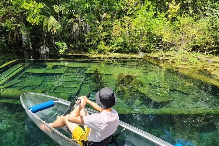 Clear Kayak or Paddleboard Manatee Adventure