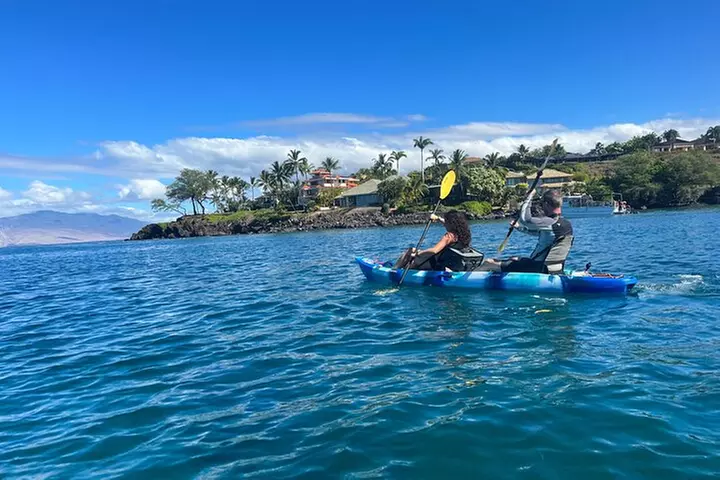 Kayak, Whale Watch, and Snorkel With Optional Photo and Video