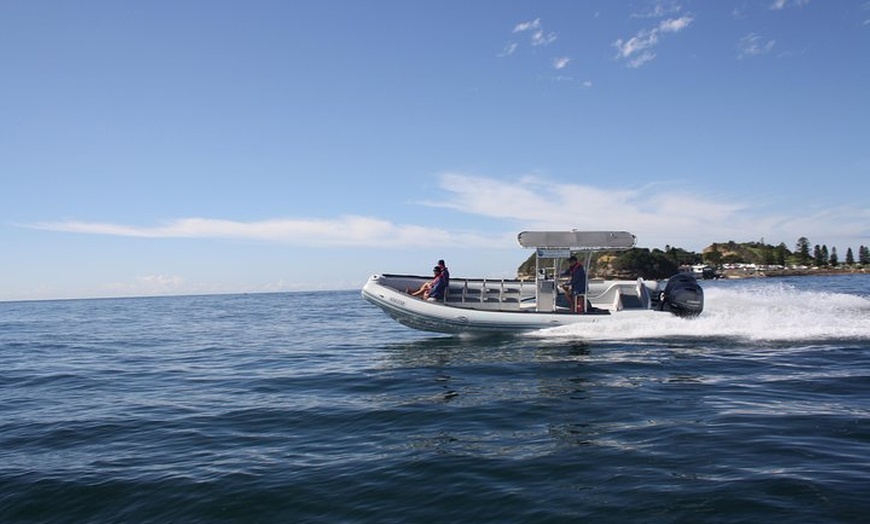 Image 7: Whale Watching Terrigal