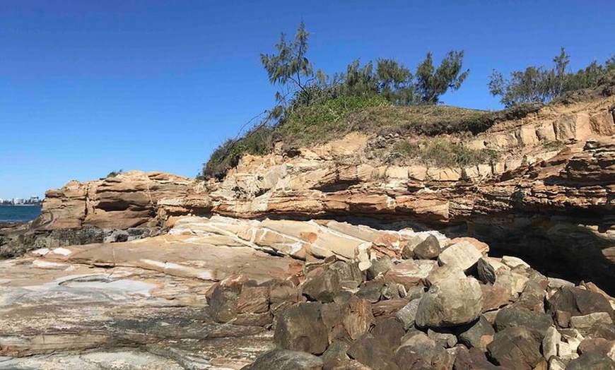 Image 10: Sunshine Coast Seaside Explorer Private Tour with Lunch