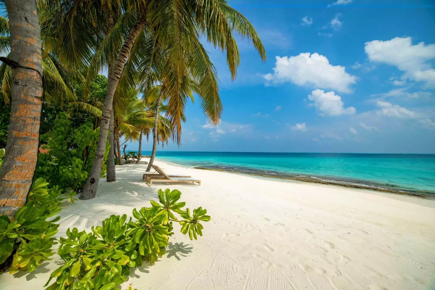 ✈ MALEDIVEN | Ari Atoll Süden - Fiyavalhu Maldives 4*, 5 Nächte - V...