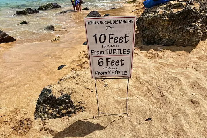 Oahu Island Experience feat the North Shore (Small Group Tour)