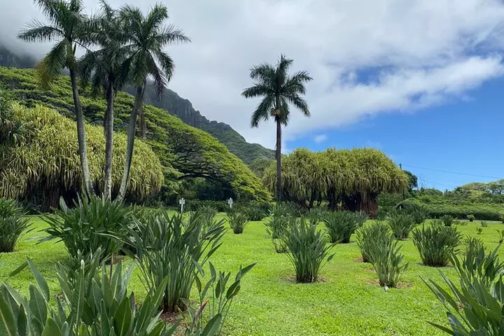 Diamond Head Hiking and Oahu Island Experience feat. North Shore