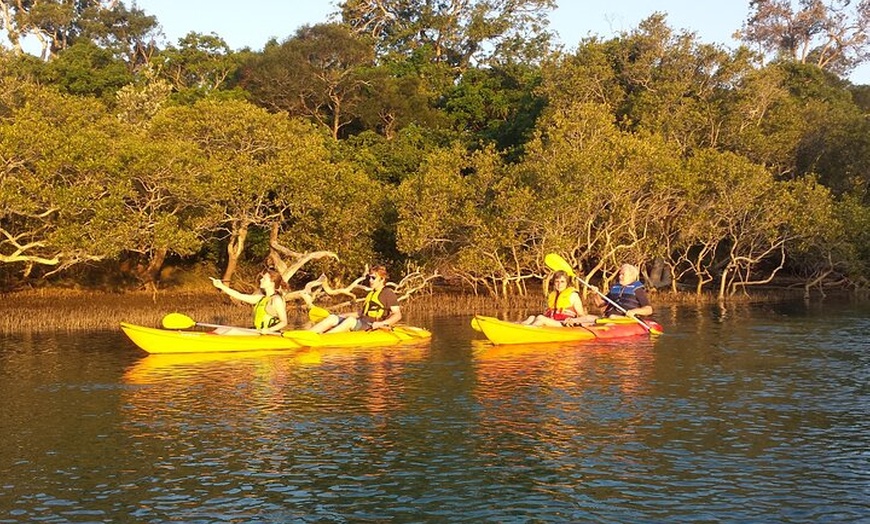 Image 9: Sunset Kayak Eco Tour with Marine Scientist