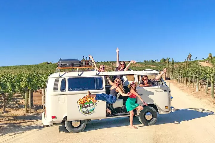 Temecula Wine Tour - The Ultimate California Experience