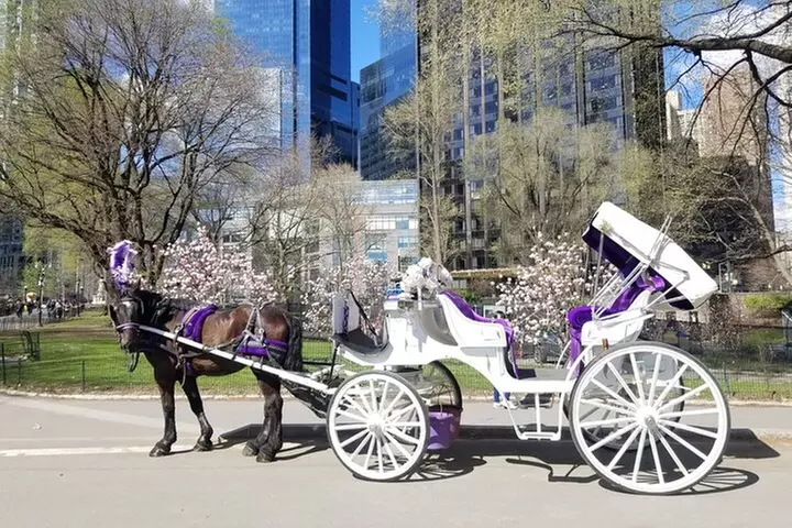 Private NYC Central Park Horse Carriage Ride (Guided) Since 1965™
