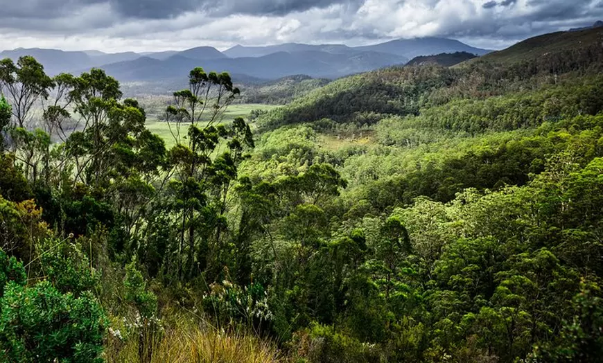 Image 3: 5-Day Lap of Tasmania Tour from Hobart (flexible ticket)