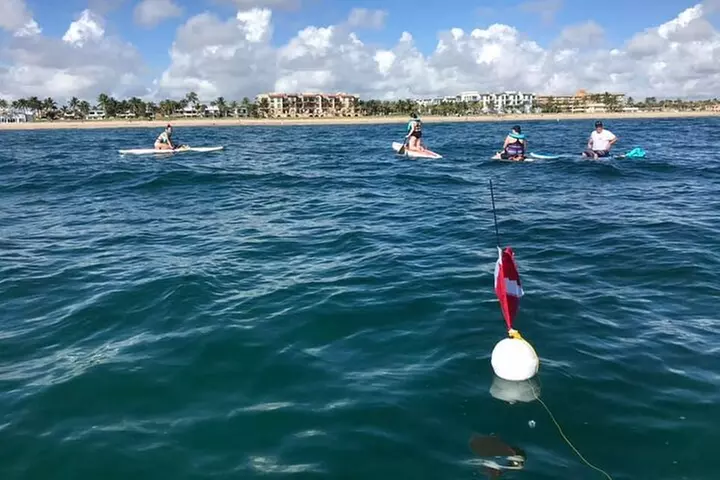 Lauderdale By The Sea Replicated Shipwreck & Reef Snorkel Trails