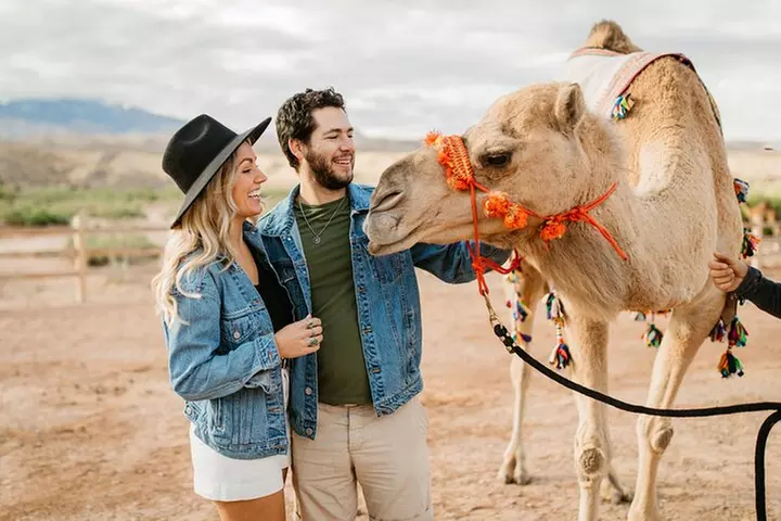 Camel Safari - Camel Ride and Zoo Tour - Primary Image