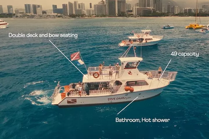 Waikiki to Diamondhead: Sunset BYOB Cruise