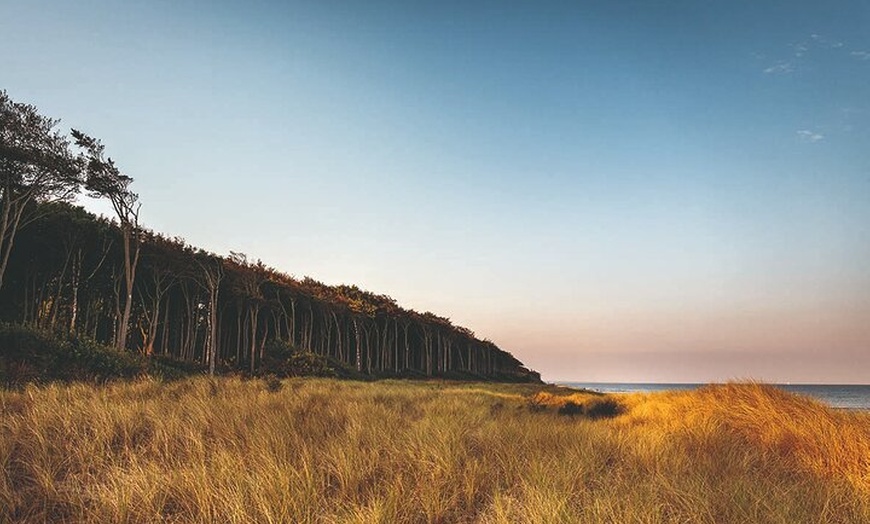 Image 7: Rundfahrt durch Graal Müritz