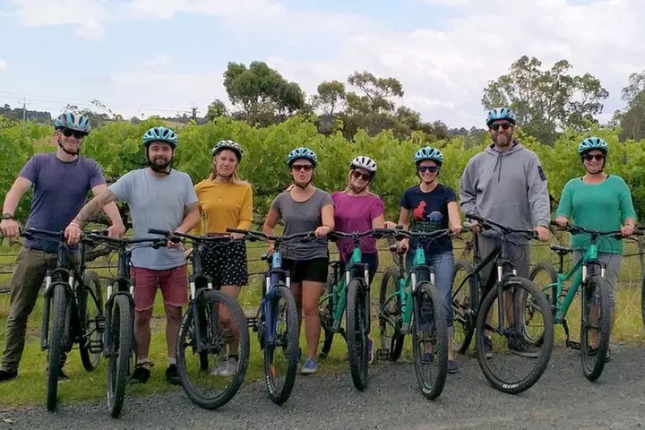 McLaren Vale Wine Tour by E-Bike (Private & Small Group)