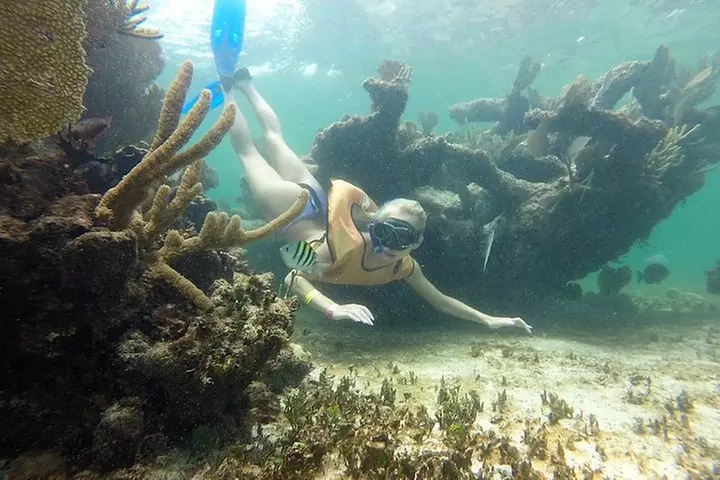 Snorkel in the second largest reef in the world Colorful tour in Pu...