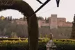 Tour Privado de la Alhambra y Palacios Nazaríes desde Sevilla con recogida - Second Medium