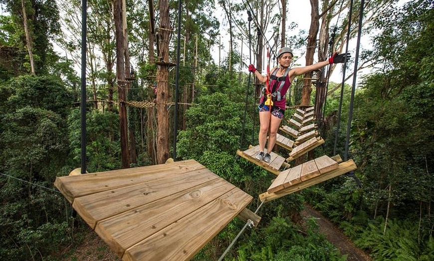 Image 4: Sunshine Coast Adventure Park TreeTop Challenge
