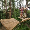 Image 4: Sunshine Coast Adventure Park TreeTop Challenge