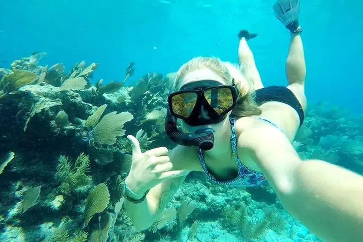 Half-Day Trip from Key West with Kayaking, Snorkeling & Sunset